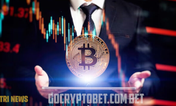GoCryptoBet.com Bet