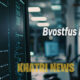 Bvostfus Python