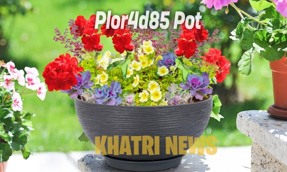 Plor4d85 Pot
