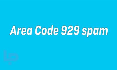 Area code 929 spam