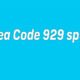 Area code 929 spam