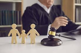 Family Lawyer