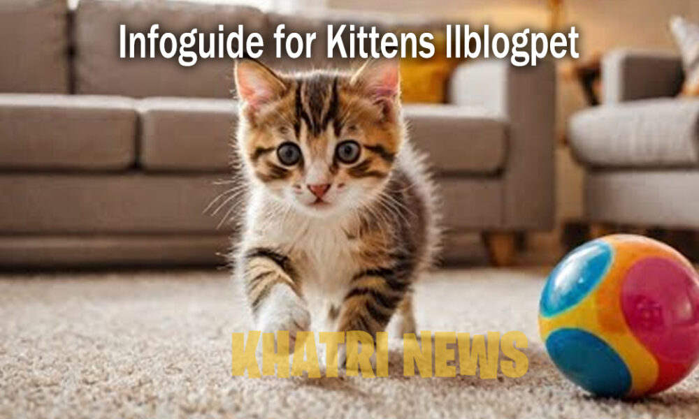 Infoguide for Kittens llblogpet